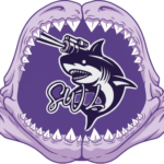 The Megalodons